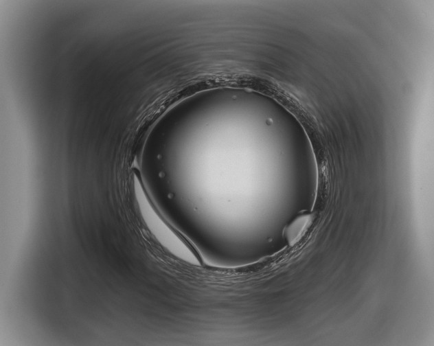 X0000116651060200912141251