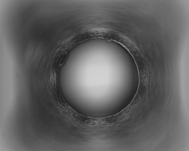 X0000116651061200912141251