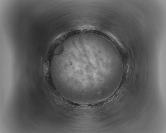 X0000116651063200912141251
