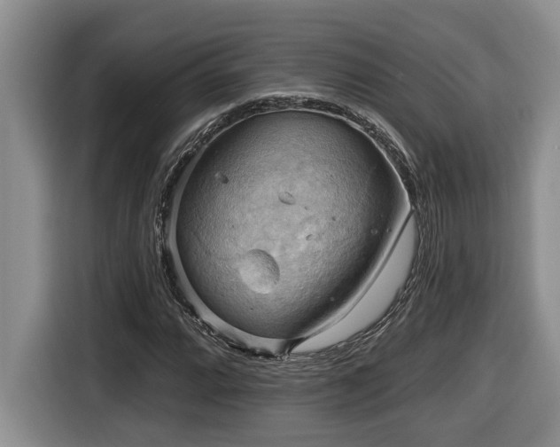 X0000116651064200912141251