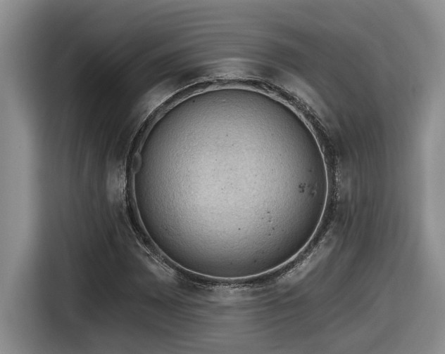 X0000116651065200912141251