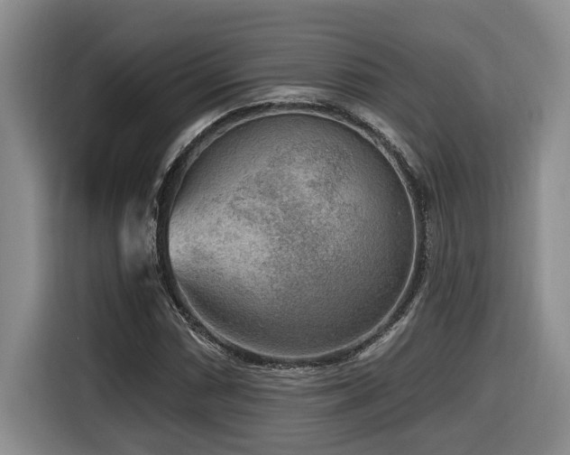 X0000116651066200912141251