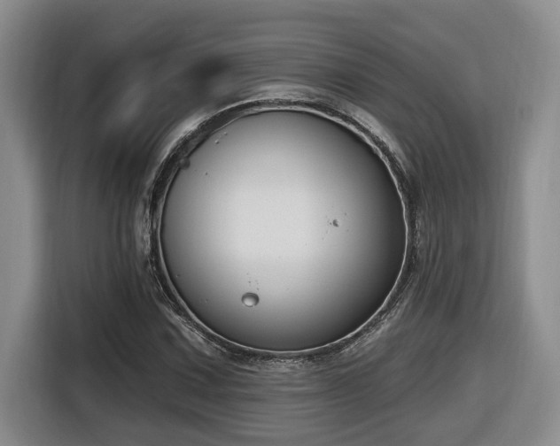 X0000116651067200912141251