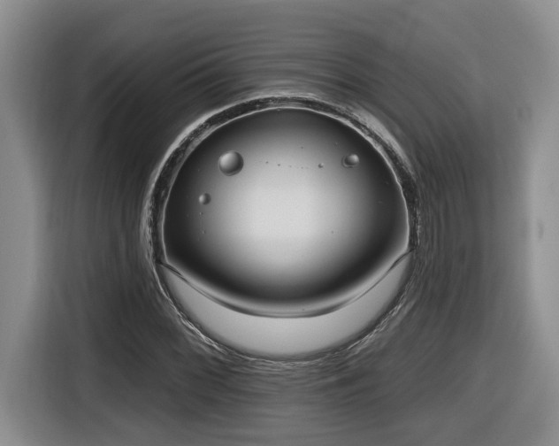 X0000116651068200912141251