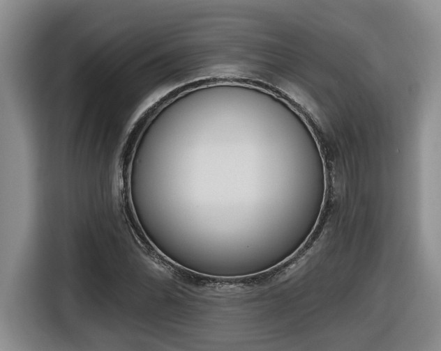 X0000116651070200912141251