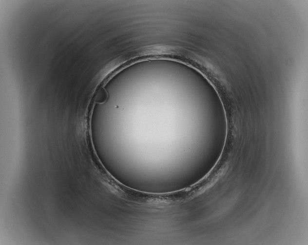 X0000116651073200912141251