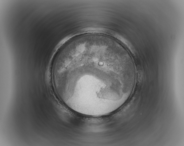 X0000116651074200912141251