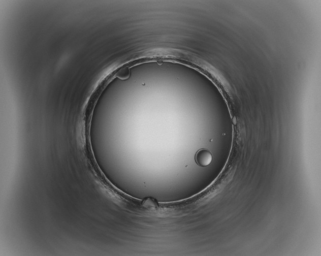 X0000116651075200912141251