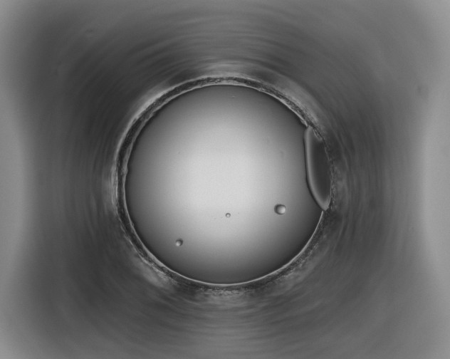 X0000116651076200912141251