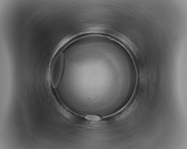 X0000116651077200912141251