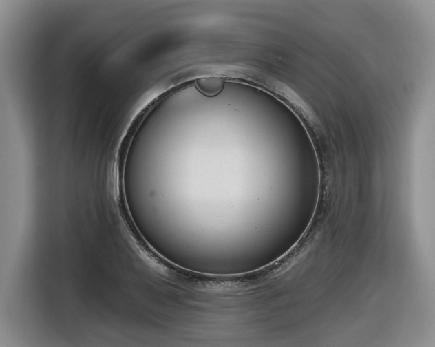 X0000116651079200912141251