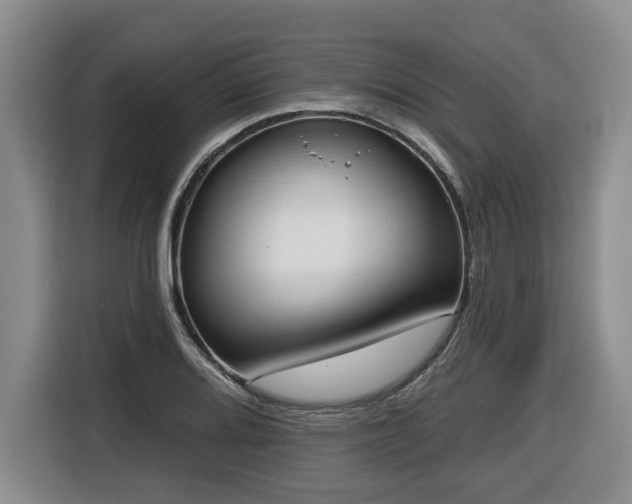 X0000116651080200912141251
