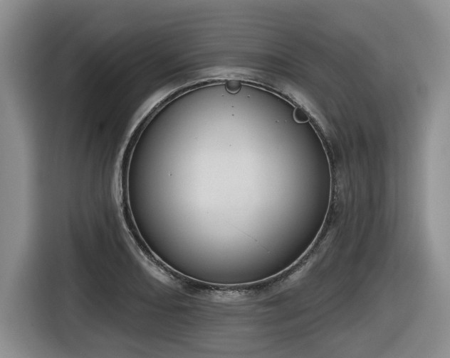 X0000116651082200912141250