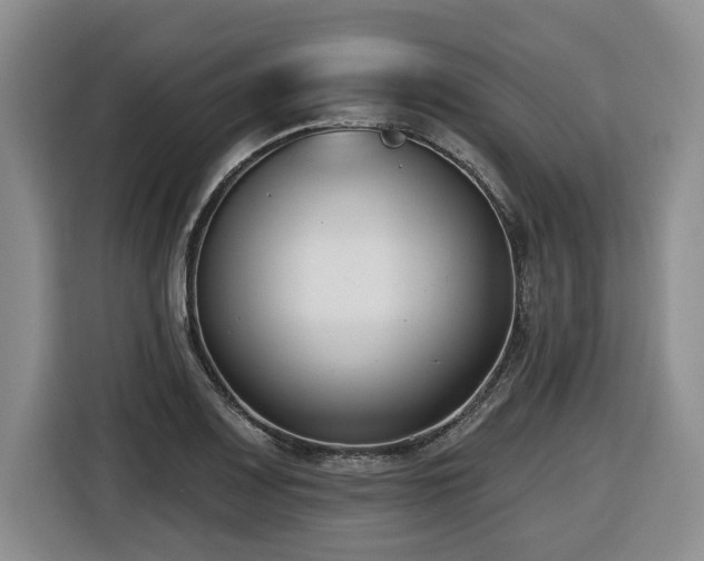 X0000116651083200912141250