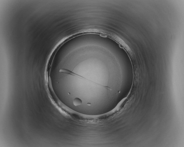 X0000116651084200912141250