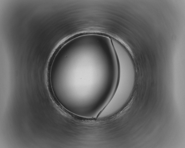 X0000116651085200912141250