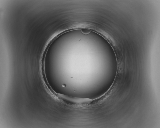 X0000116651086200912141250