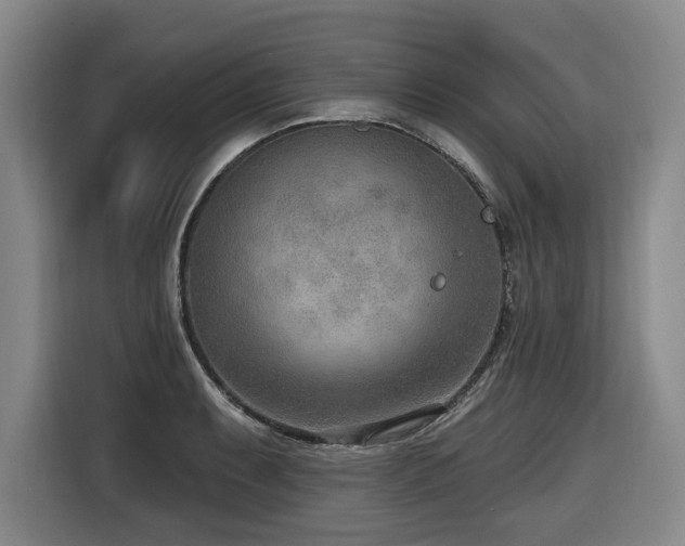 X0000116651087200912141250