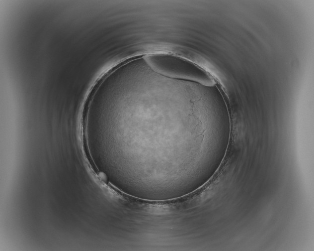 X0000116651088200912141250