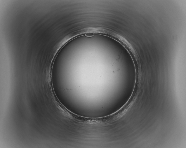 X0000116651089200912141250