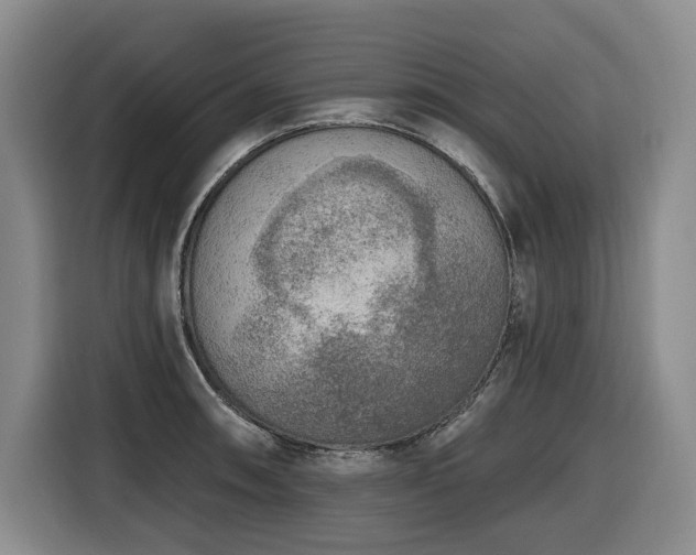 X0000116651090200912141250