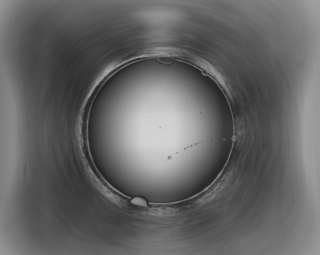 X0000116651091200912141250