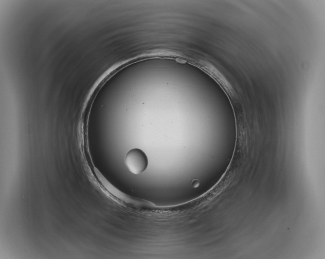 X0000116651092200912141250