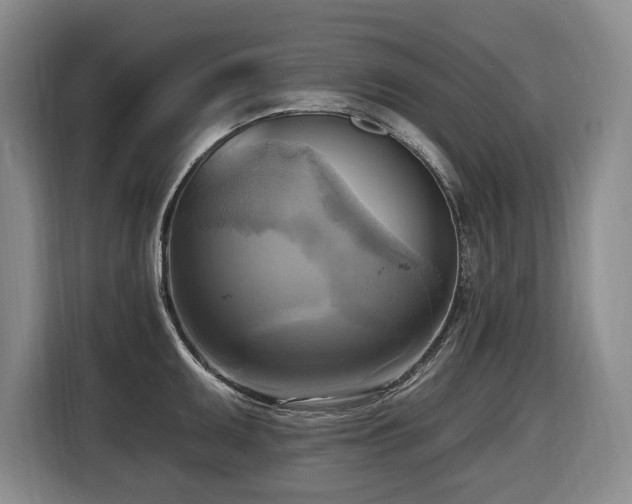 X0000116651095200912141250