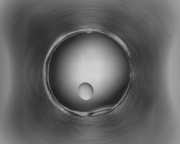 X0000116651096200912141250