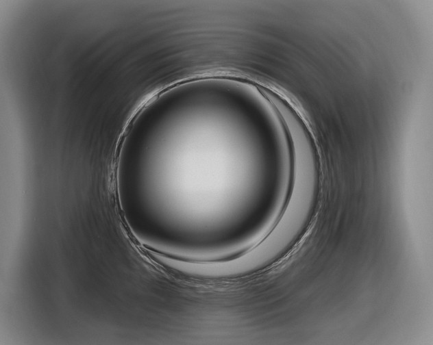 X0000116651097200912141250