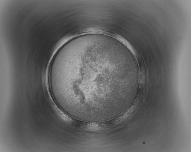 X0000116651098200912141250
