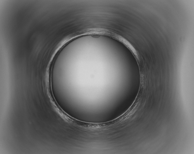 X0000116651099200912141250