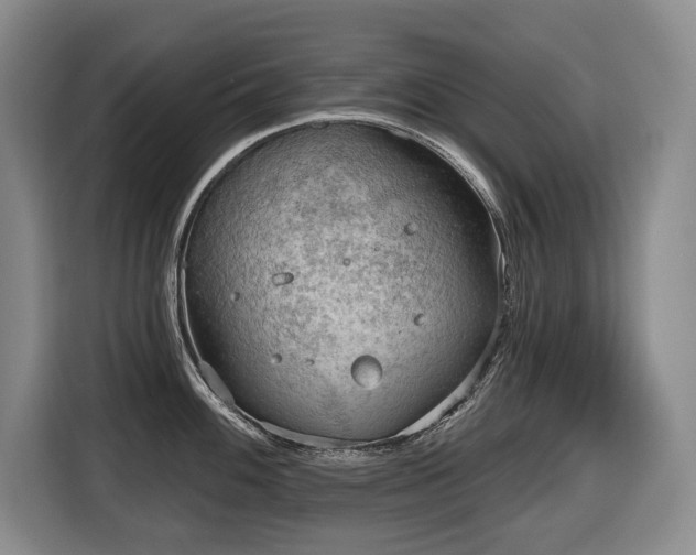 X0000116651100200912141250