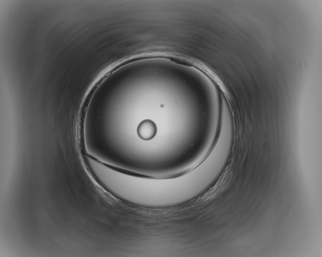X0000116651101200912141250