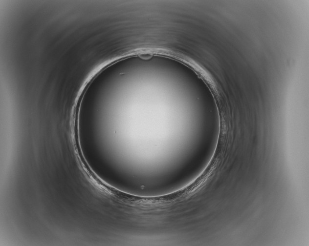 X0000116651102200912141250
