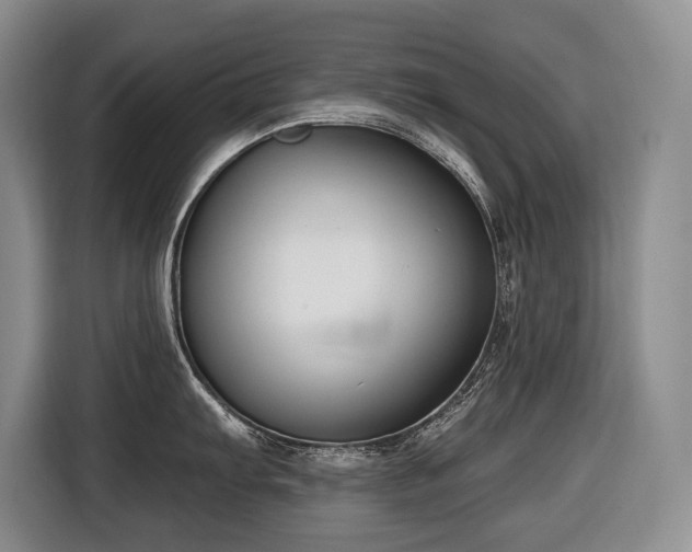 X0000116651103200912141250