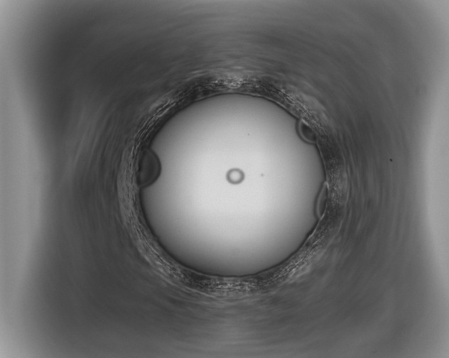 X0000116651105200912141250