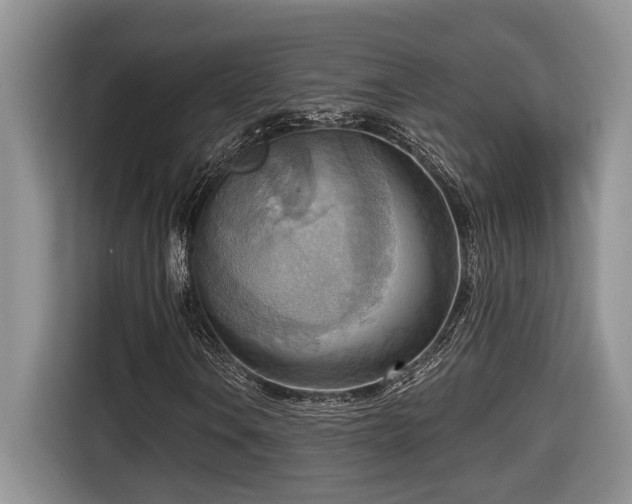 X0000116651106200912141250