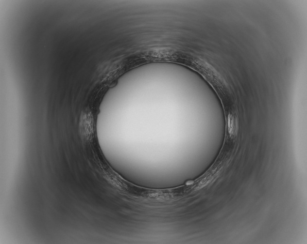 X0000116651107200912141250
