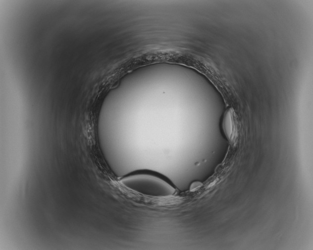 X0000116651109200912141250