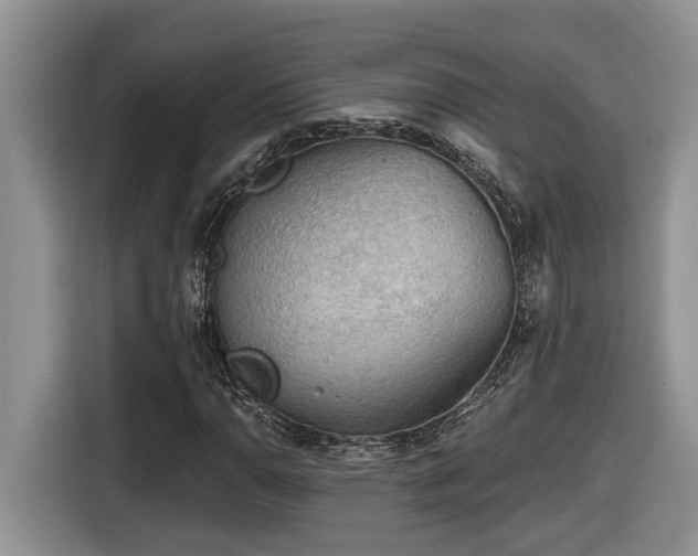 X0000116651110200912141250