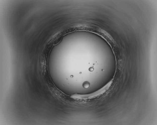 X0000116651111200912141250