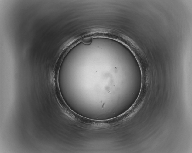 X0000116651113200912141250