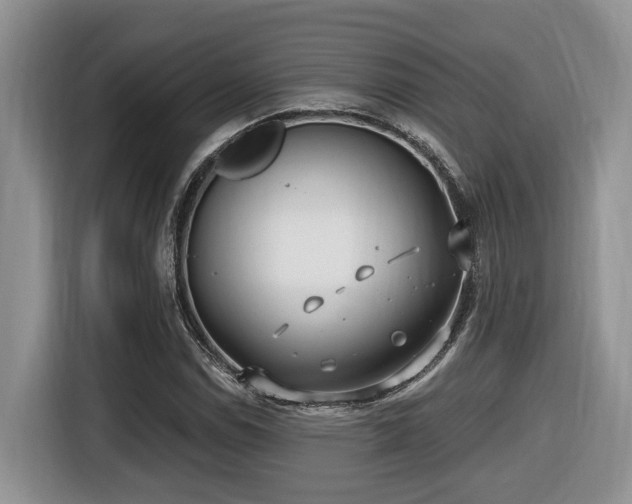 X0000116651114200912141250