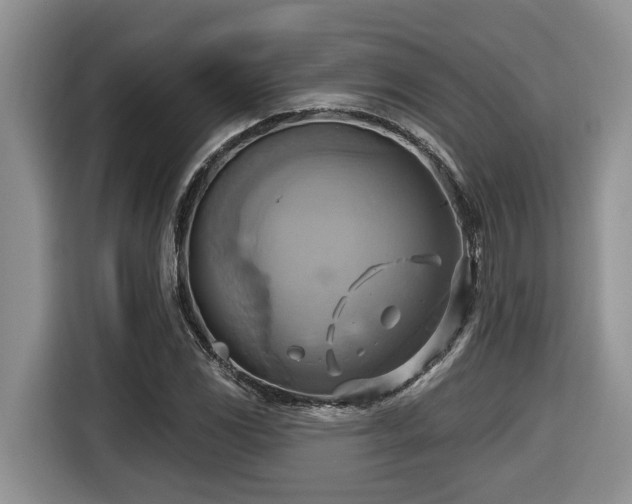 X0000116651117200912141250