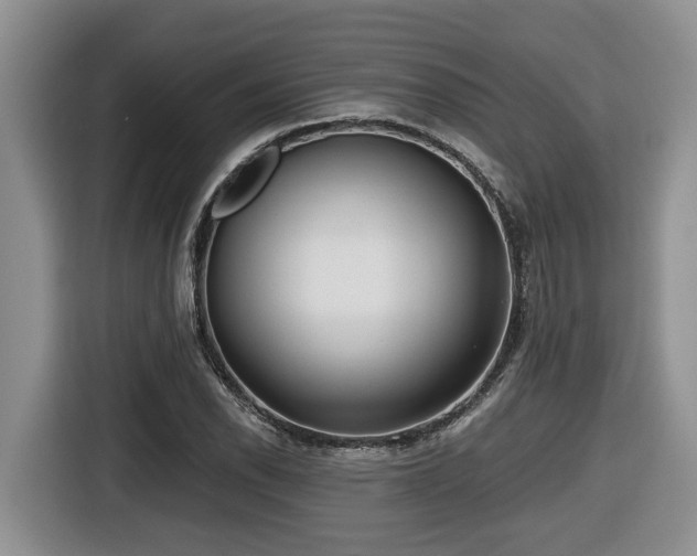 X0000116651118200912141250
