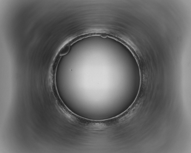 X0000116651119200912141250