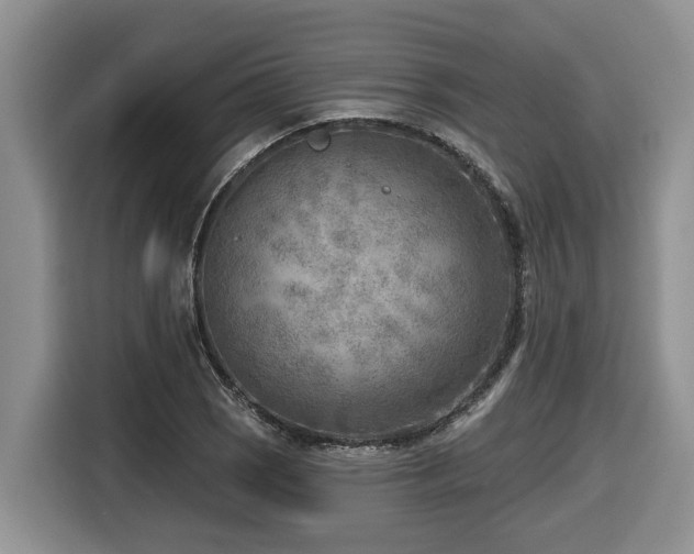 X0000116651121200912141250