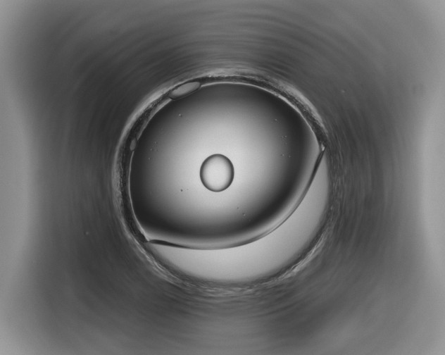 X0000116651122200912141250
