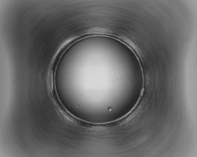 X0000116651123200912141250
